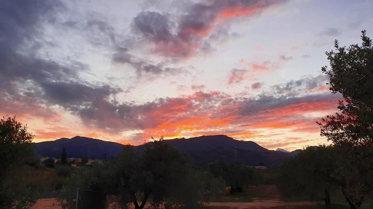 Agriturismo Corte Degli Ulivi カポテッラ エクステリア 写真