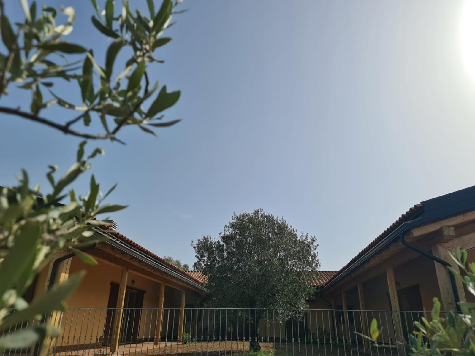 Agriturismo Corte Degli Ulivi カポテッラ エクステリア 写真
