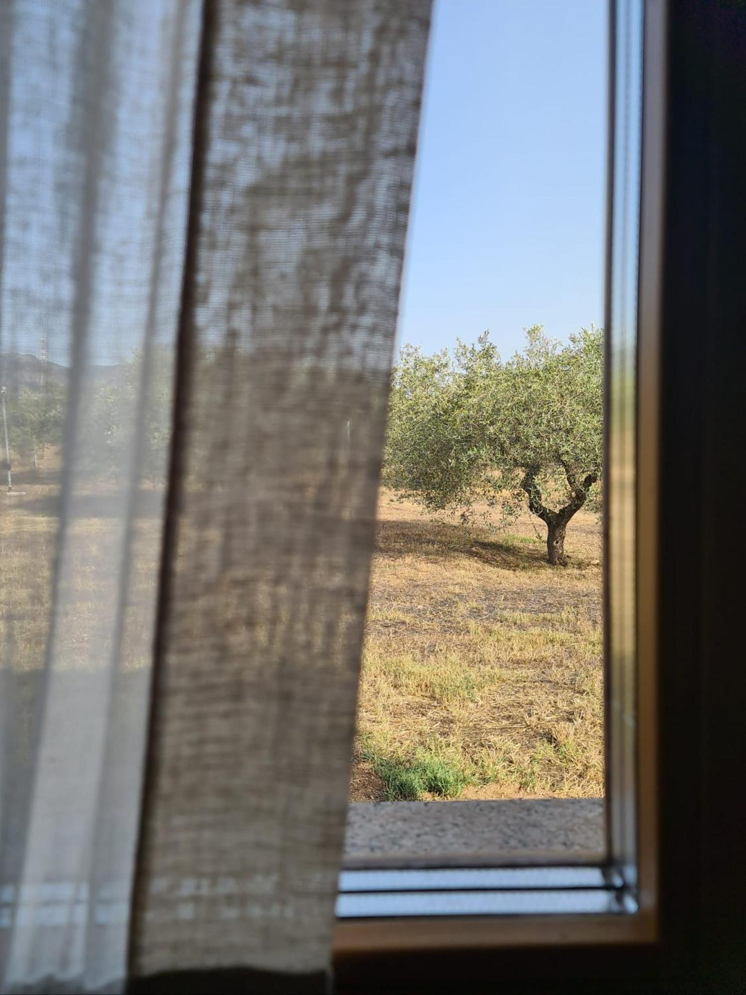 Agriturismo Corte Degli Ulivi カポテッラ エクステリア 写真