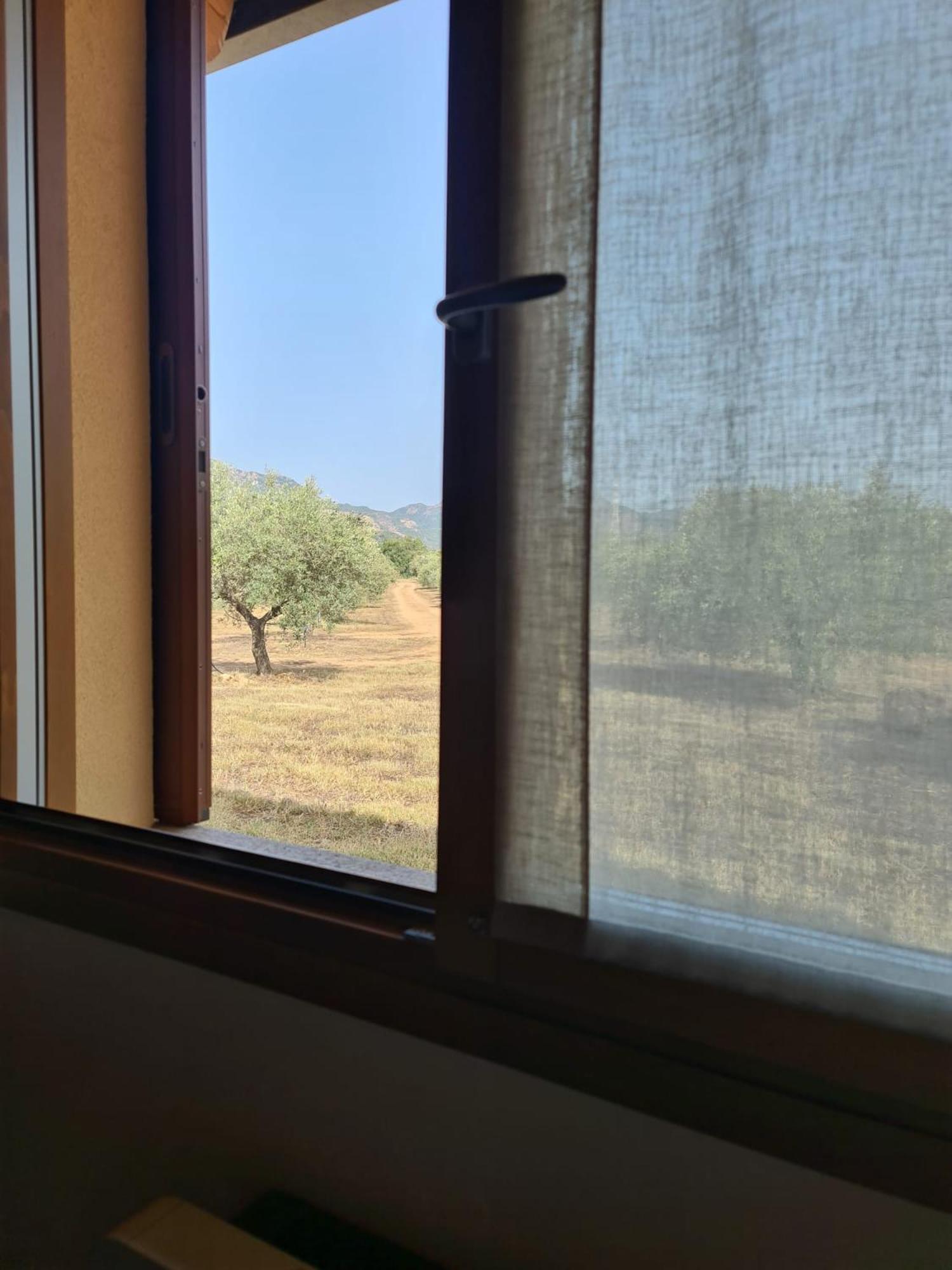 Agriturismo Corte Degli Ulivi カポテッラ エクステリア 写真