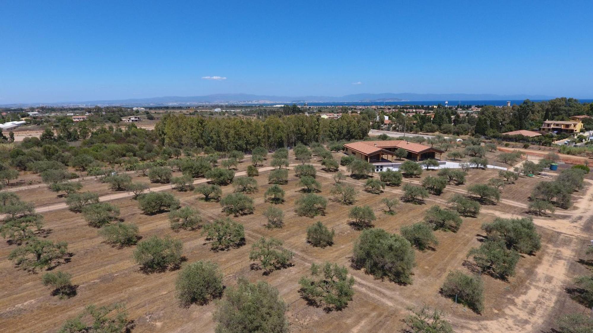 Agriturismo Corte Degli Ulivi カポテッラ エクステリア 写真